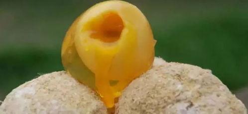 大丰县吃瓜,瓜果飘香，品味田园生活